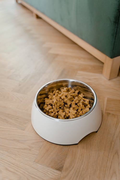Pet food trends 2022 Tips, Tricks and Trends PawBlog FunkyPaw